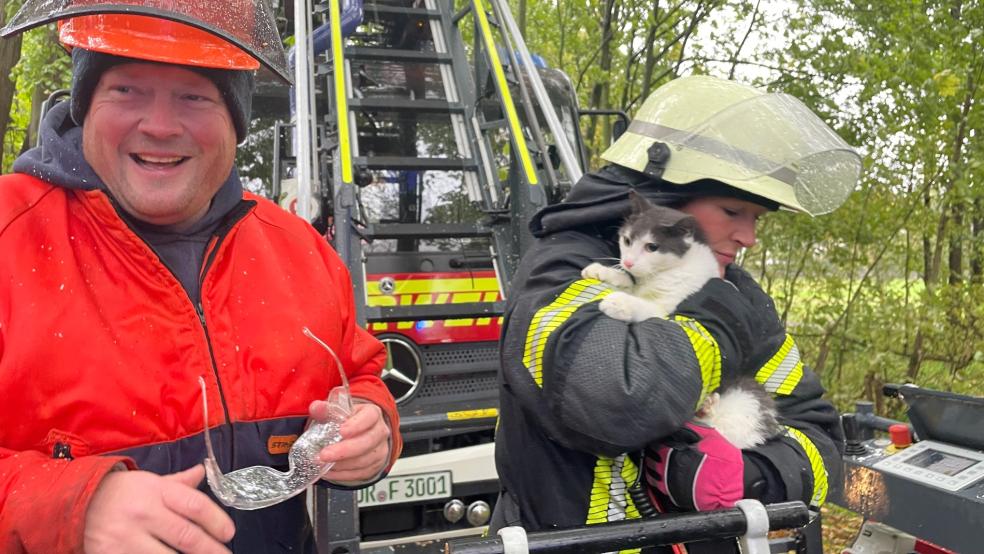 Die Feuerwehr konnte die Katze "Queeny" letztendlich retten. © Feuerwehr Norden/Thomas Weege