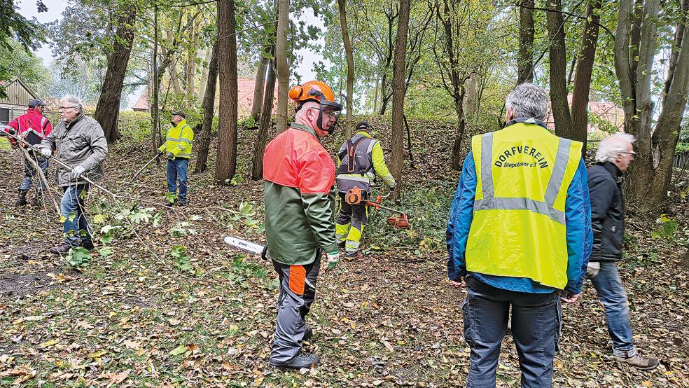 Der Dorfverein Stapelmoor veranstaltete einen eigenen Umwelttag. Im kleinen Park in Stapelmoorerheide wurden die Wege wieder begehbar gemacht. © Foto: privat