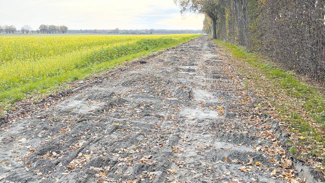 Buckelpiste in Wymeer wird beseitigt