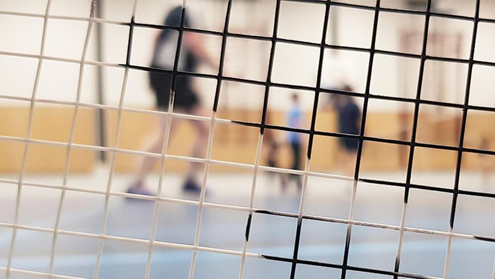 Badminton könnte in Weener bald Geschichte sein.  © Foto: Pixabay