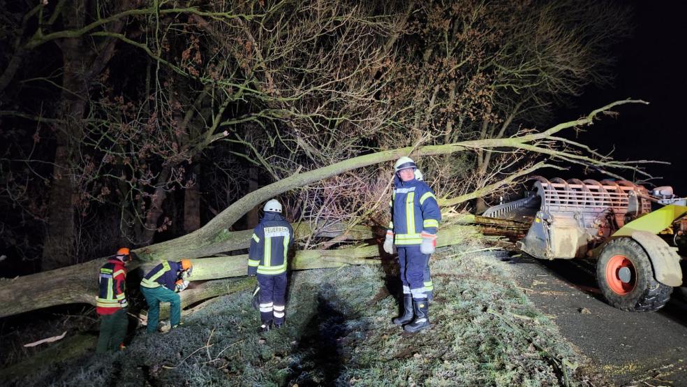 Ein Landwirt unterstützte die Räumung des Baumes durch die Feuerwehr mit einem Radlader und seinem Traktor. © Feuerwehr/Bruns