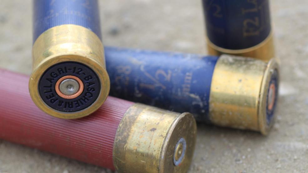 Zwei Spaziergänger wurden von Schrotmunition verletzt. © Symbolfoto: pixabay