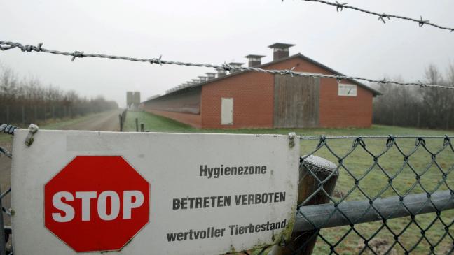 Geflügelpest im Landkreis Aurich