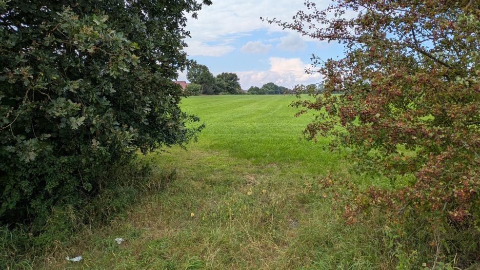Auf dieser Weidefläche soll das neue Wohnbaugebiet mit etwa 100 Grundstücken entstehen. © Archivfoto: Szyska