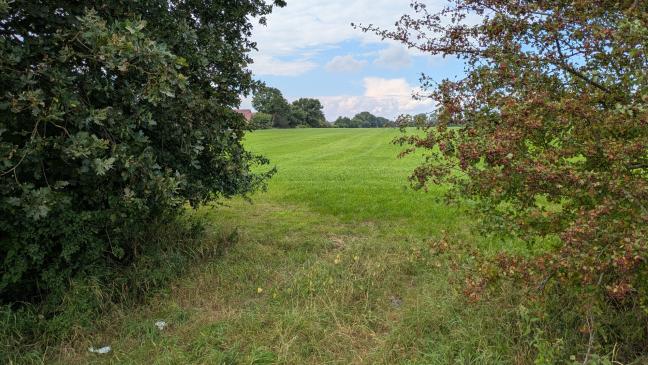 Bebauungsplan ist auf dem Weg