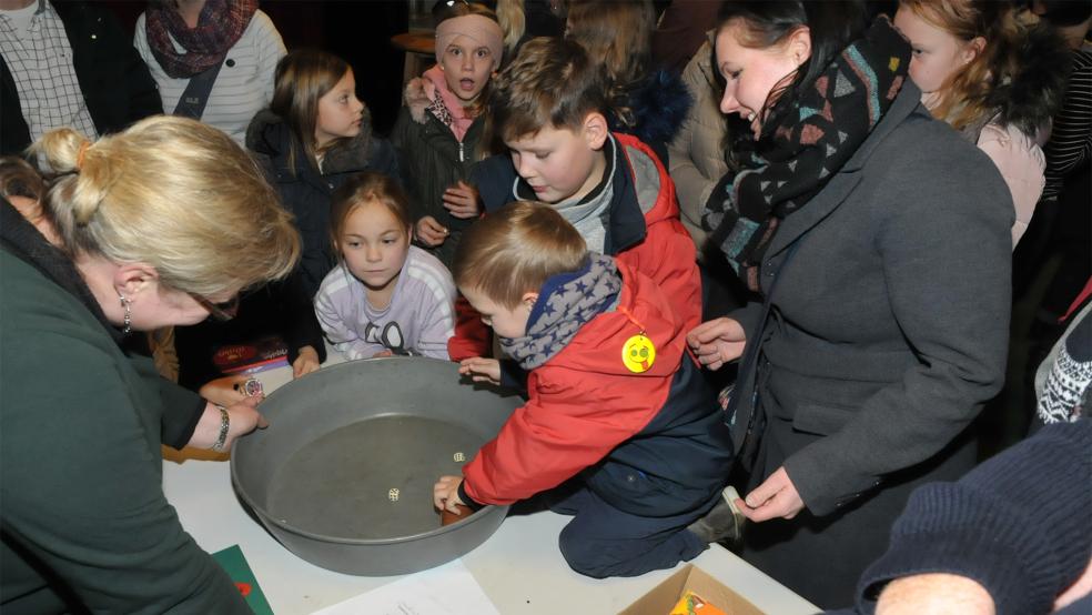 Auch Kinder haben ihren Spaß beim Verknobeln.  © Archivfoto: Wolters