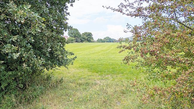 Fahrplan für das Baugebiet erstellen