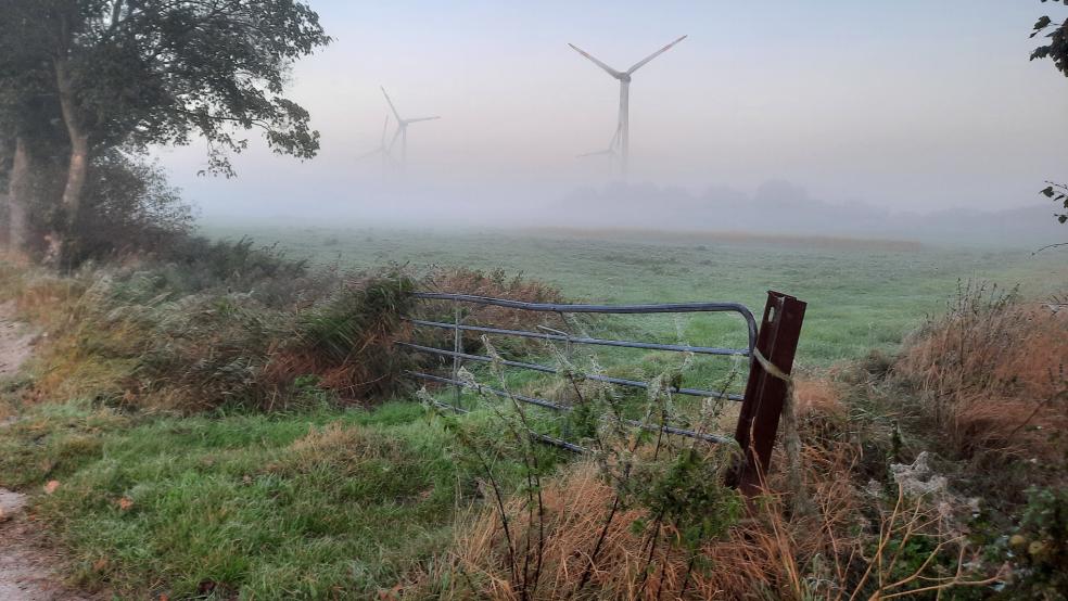 Der Windpark Holtgaste im Nebel. © Foto: Szyska