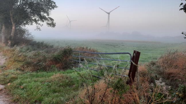 Wie Jemgum von Windpark profitiert 