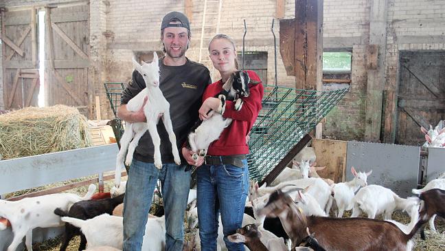 Weihnachten im Ziegenstall