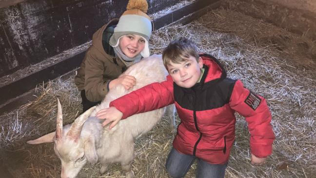 Tierischer Weihnachtszauber auf dem Ziegenhof