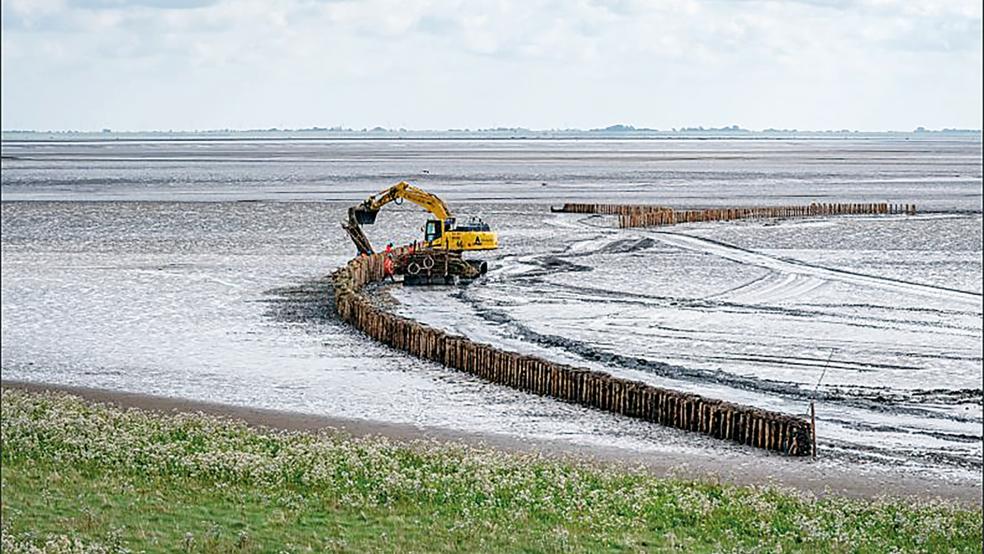 Zu den Maßnahmen auf niederländischer Seite gehören unter anderem Schilfdämme im Südwesten des Dollarts. Die Dämme befinden sich in einer Zone etwa 500 Meter vom Westufer entfernt und erstrecken sich über eine Länge von rund zweieinhalb Kilometern.  © Foto: Programm »Eems-Dollard 2050«