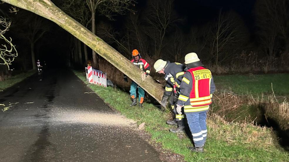 Feuerwehrleute zersägten den Baum und brachten ihn in den Seitenraum. © Foto: Bruns (Feuerwehr)