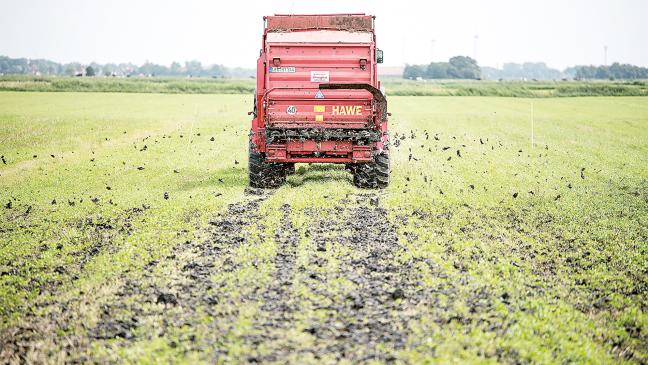Neues Schlick-Projekt dauert bis 2033