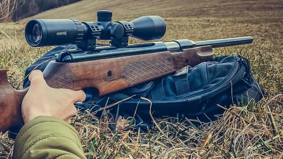 Mit einem Luftgewehr soll auf eine Katze geschossen worden sein (Symbolbild). © Pixabay