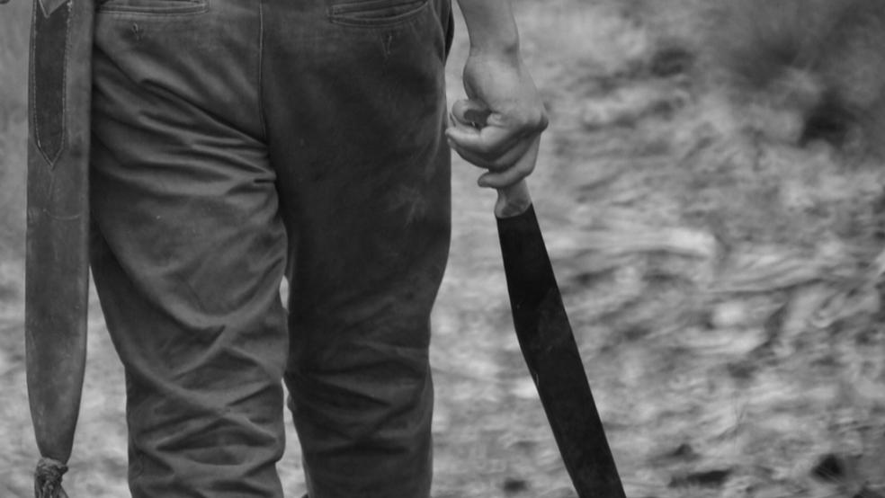 Mit einer Machete (Beispielbild) lief ein Mann im vergangenen Jahr durch Emden und wehrte sich massiv gegen die Maßnahmen der Polizei. Nun steht er wegen einer äußerst brutalen Attacke gegen seinen Nachbarn vor Gericht. © pixabay (Beispielbild)