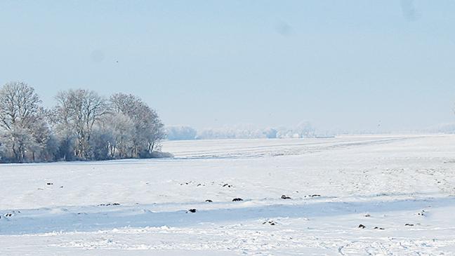 Nobian muss noch nachbessern