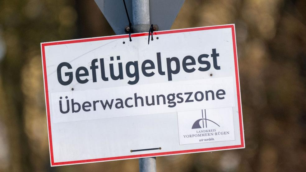 Zur Sperrzone gehört eine Überwachungszone von mindestens zehn Kilometern Radius um den Ausbruchsbetrieb. © Symbolfoto: Sauer (dpa)