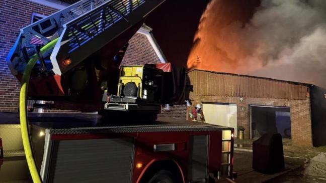 Pferde aus brennender Scheune gerettet