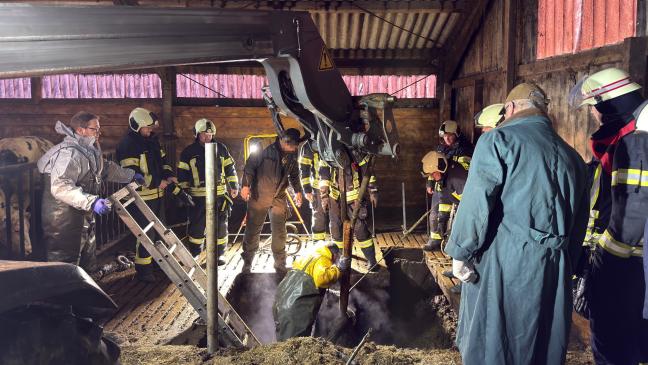 Feuerwehr rettet Kühe aus Güllerkeller