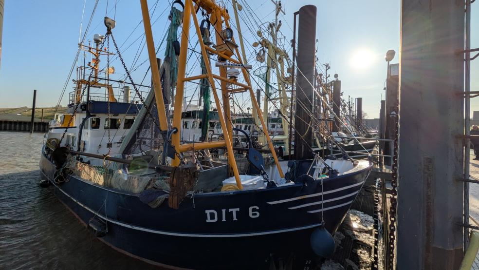 Die Krabbenkutter prägen das Bild im Ditzumer Hafen, doch die Zukunft der Fischerei ist ungewiss. © Foto: Szyska