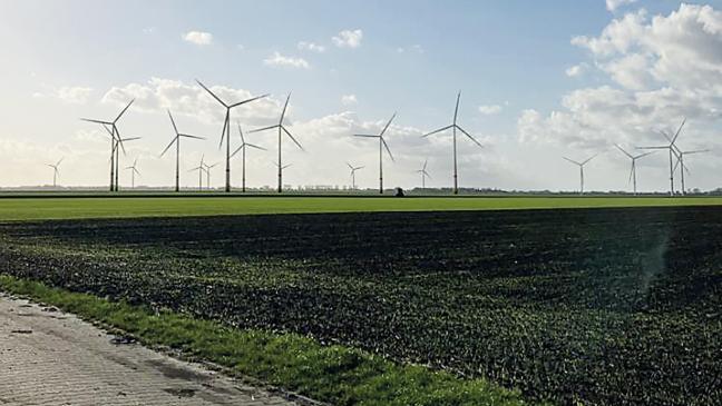 Windpark-Konflikt mit Leitungen und Vögeln