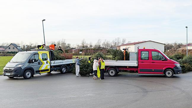 Tannenbaum-Abholaktion bringt 4000 Euro ein