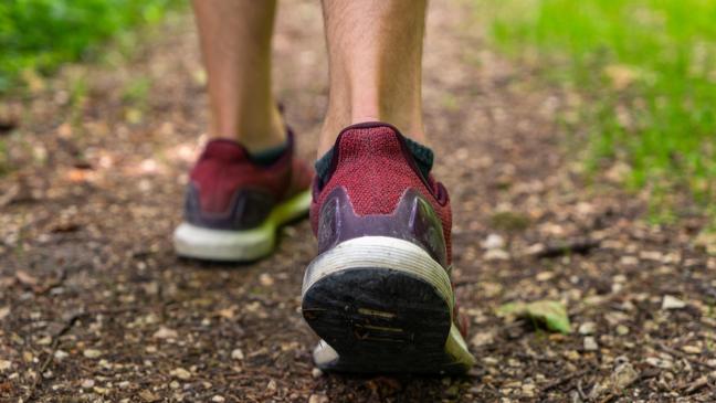 Crosslauf durch Heseler Wald