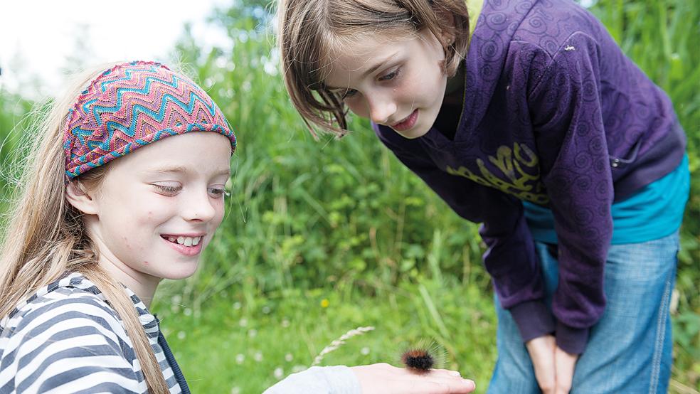 Spielerisch die Natur kennen lernen können Kinder auch bei der Naturschutzjugend des NABU.  © Foto: NABU/Guido Rottmann