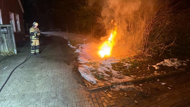Mülltonne steht in Vollbrand