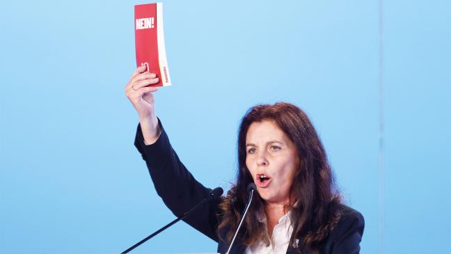 AfD streitet über neuen Kreisverband