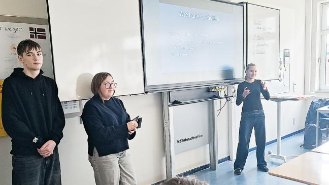 Politik und die Folgen von Mobbing