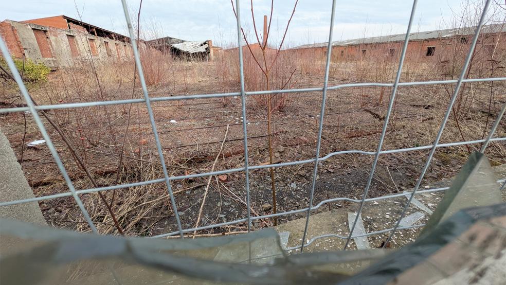 Mit den Vorbereitungen zum Abbruch der verbliebenen Gemäuer der ehemaligen Klinker-Fabrik in Jemgum will die beauftragte Firma in der kommenden Woche starten. In diesem Zuge wird auch der ortsbildprägende Schornstein abgerissen.  © Foto: Szyska