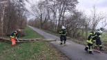 Baum stürzt um und blockiert die Fahrbahn