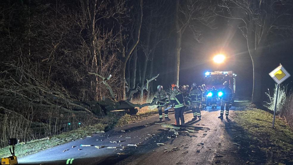 Die komplette Straße blockierte dieser umgestürzte Baum in Breinermoor. © Feuerwehr