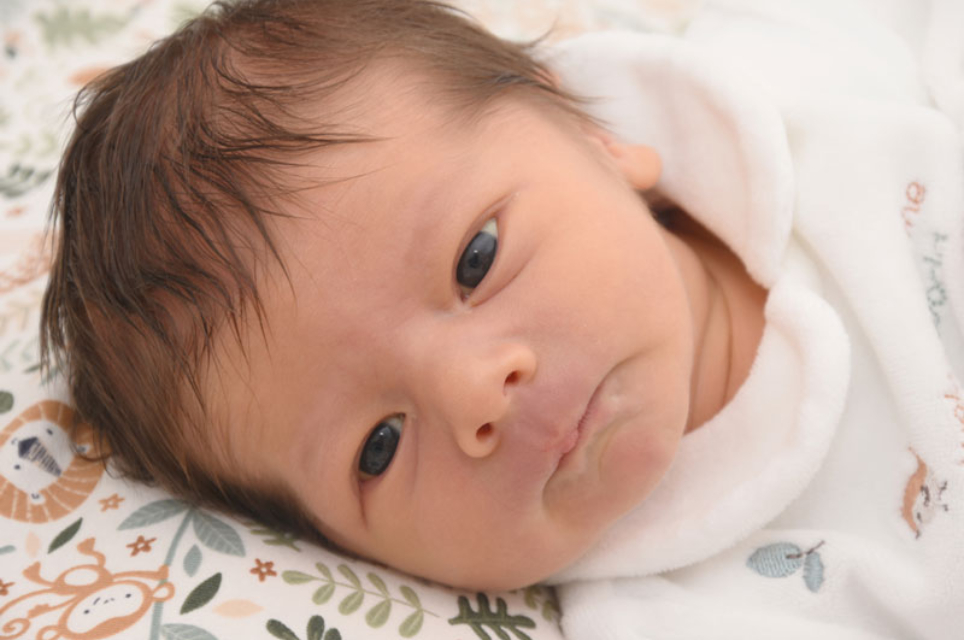 Matteo David