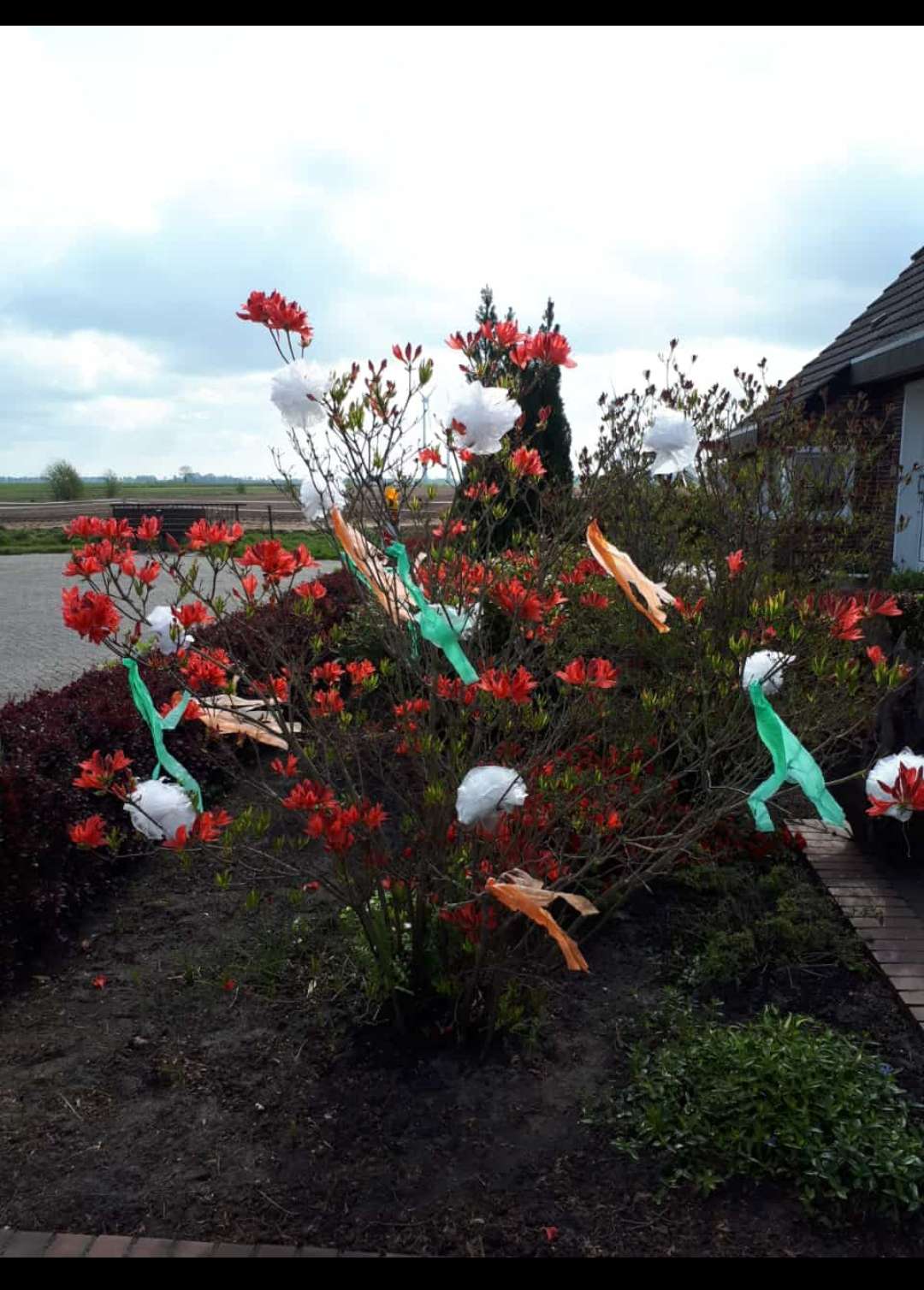 Auch im Endenweg in Weenermoor haben einige fleißige Anwohner ihre Gärten verziert. © privat