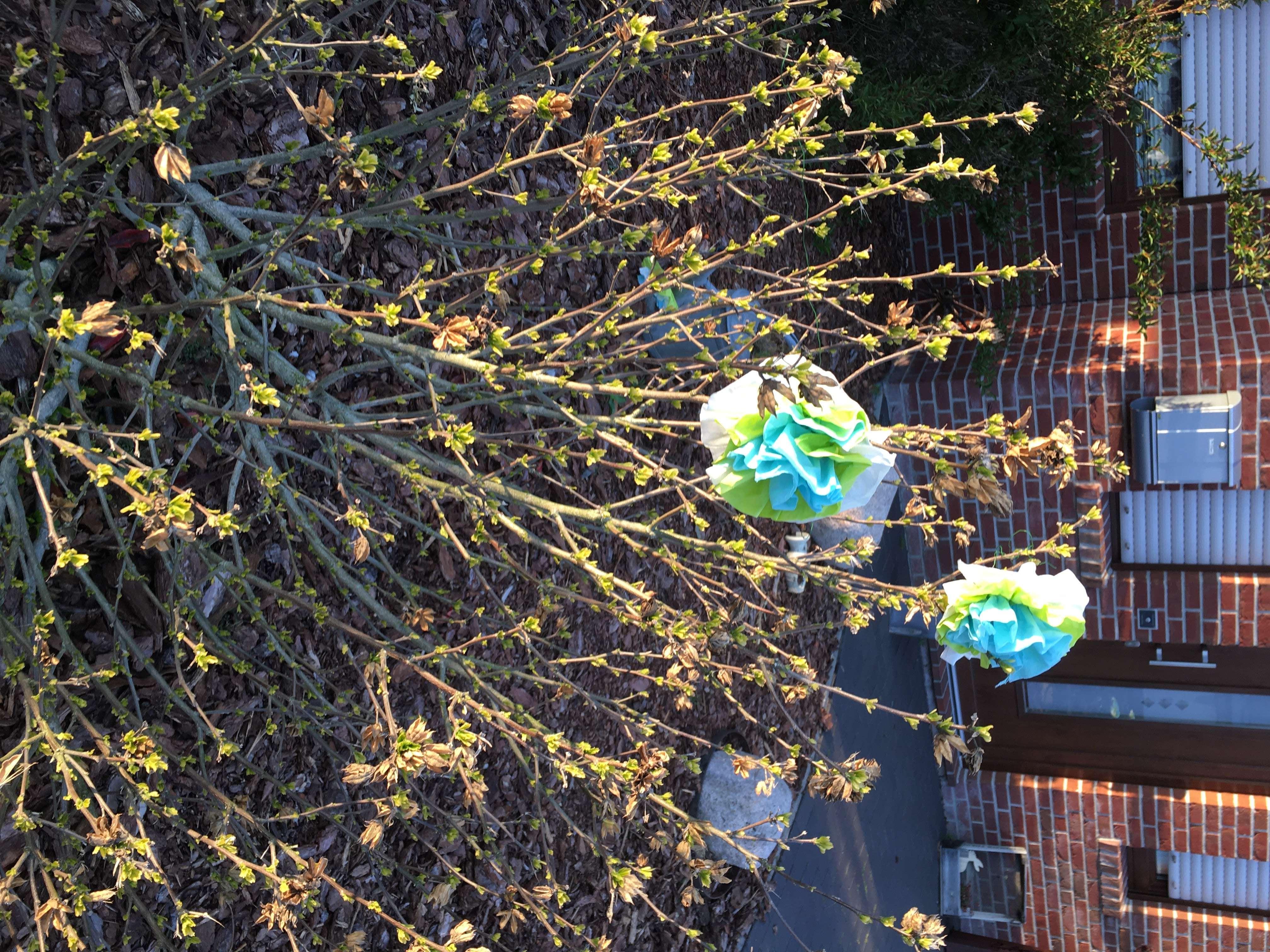 Besonders aktiv waren die Anwohner des Moosbeerenwegs in Tichelwarf. © privat