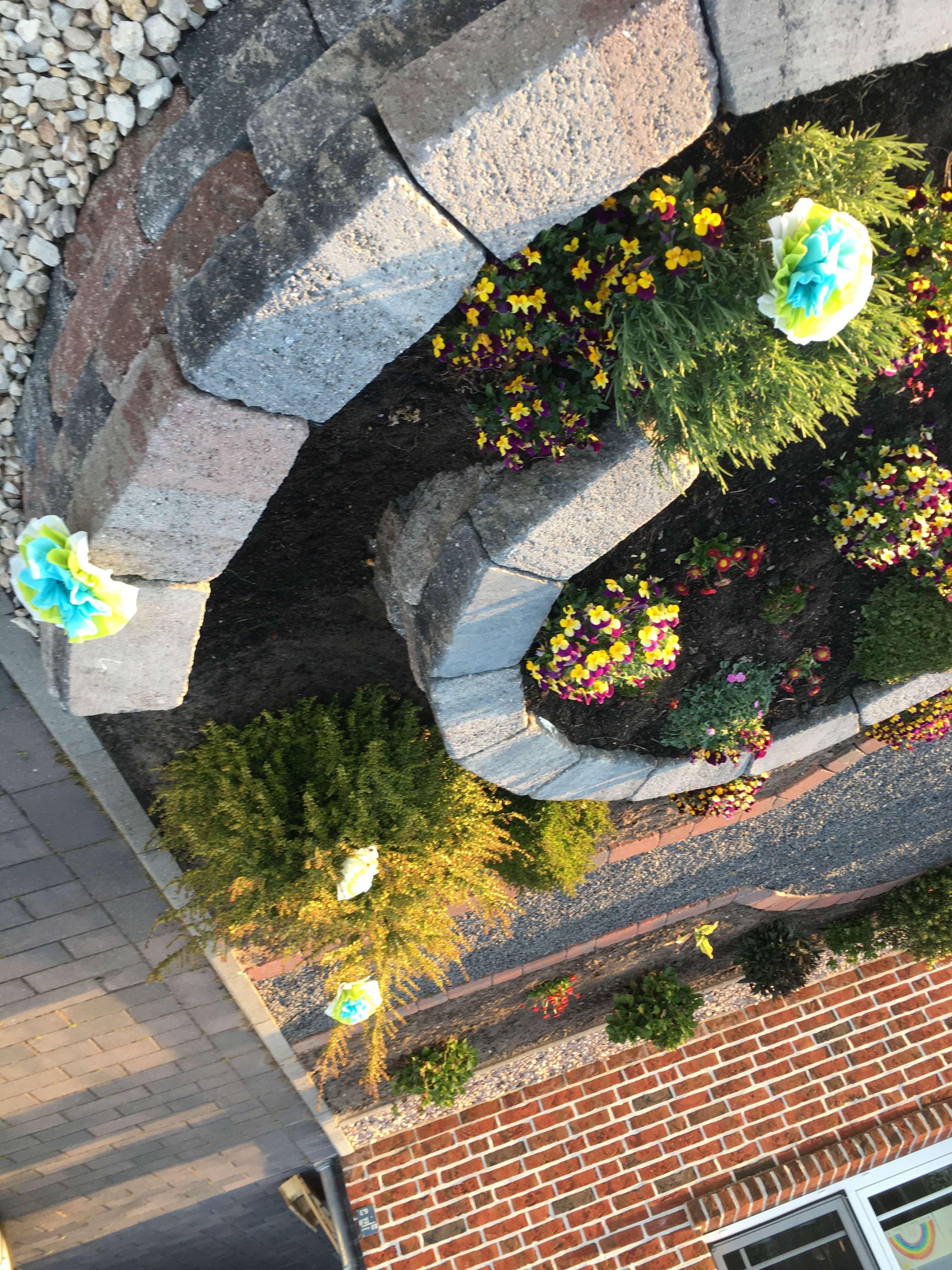 Besonders aktiv waren die Anwohner des Moosbeerenwegs in Tichelwarf. © privat