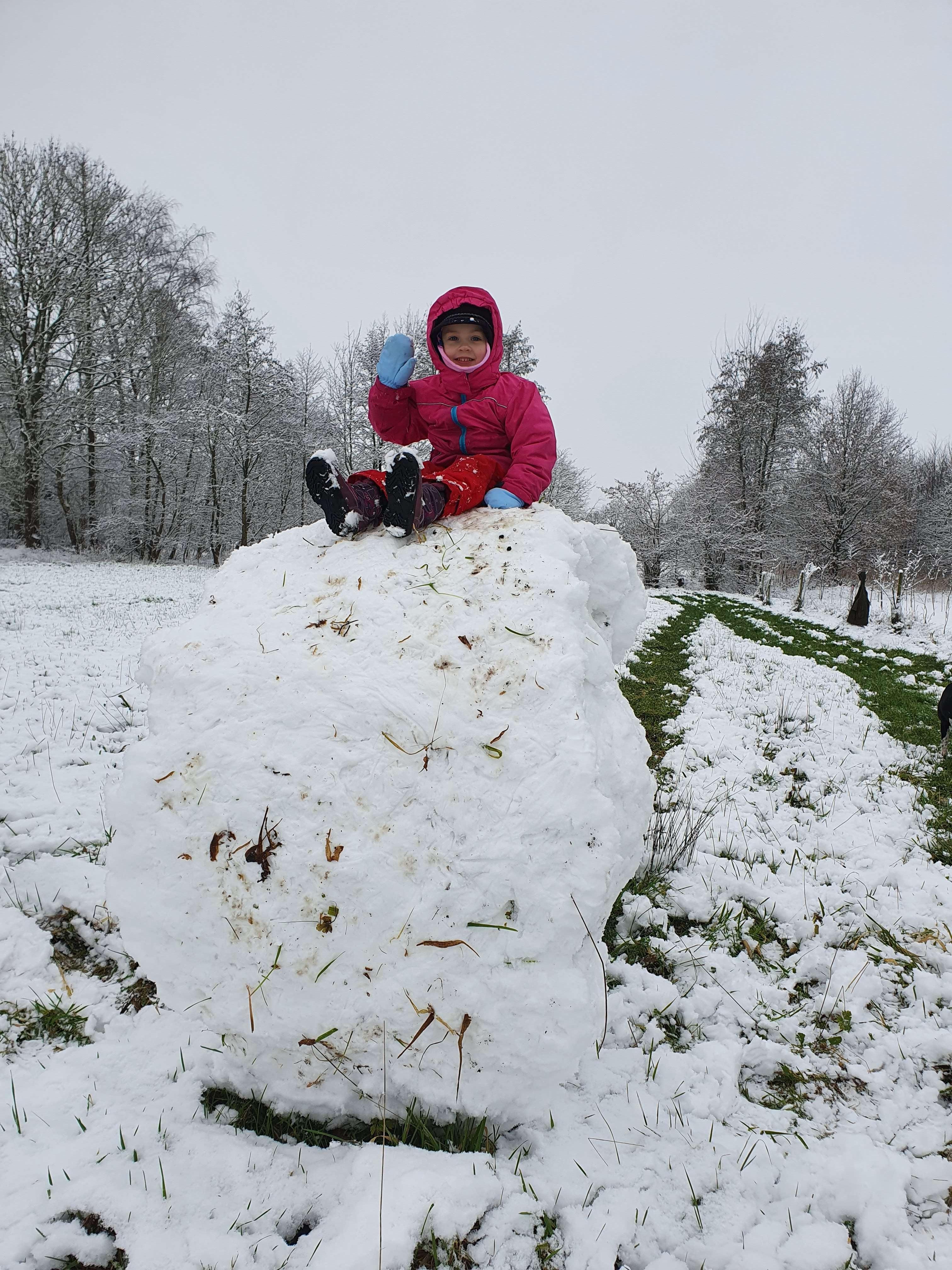 Linah aus Beschotenweg hat zusammen mit ihrem Papa, Opa und Hündin Tessa eine 1,50m große Schneekugel gerollt. © privat