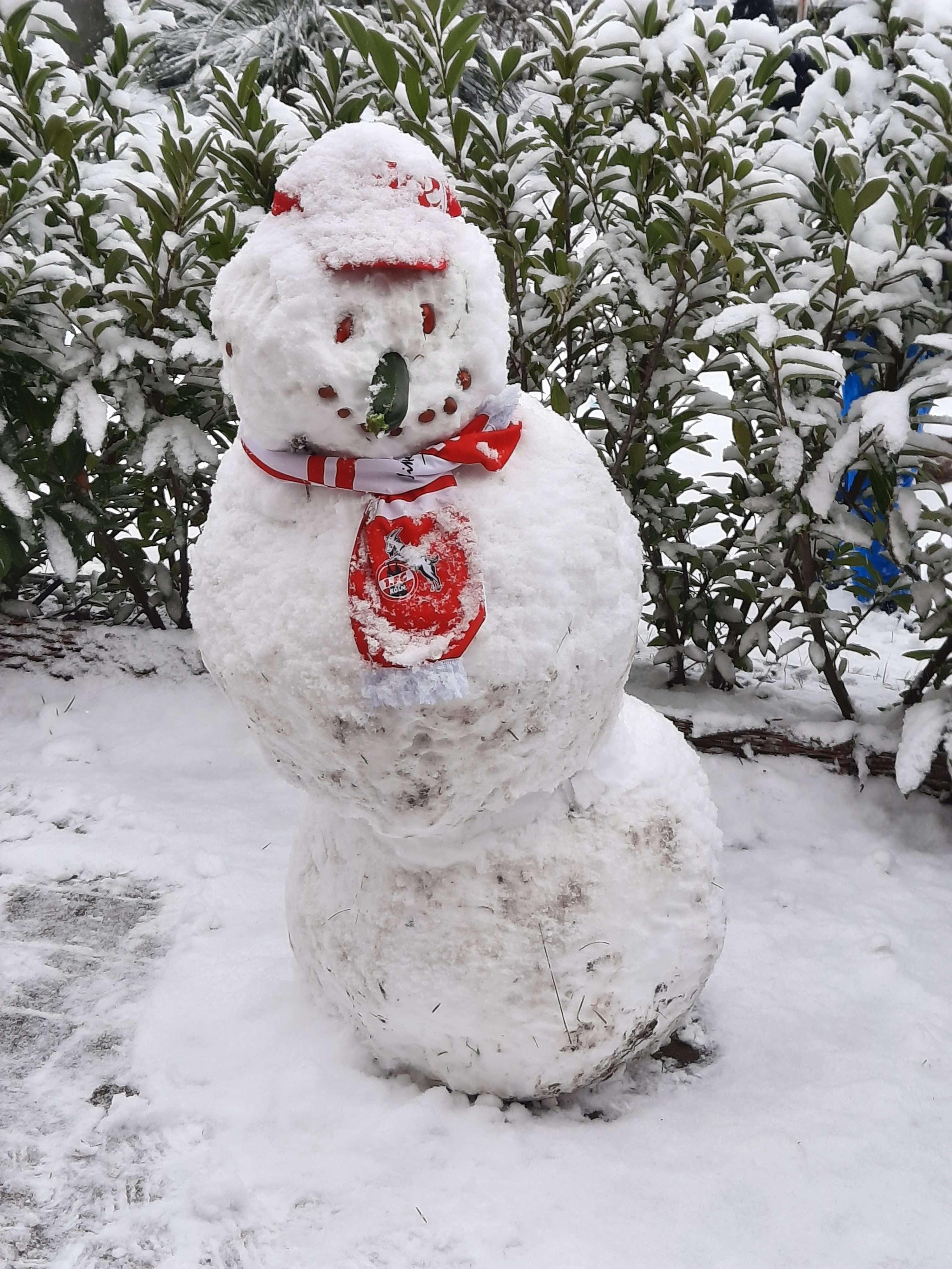 Ein Schneegruß aus Bingum. © privat