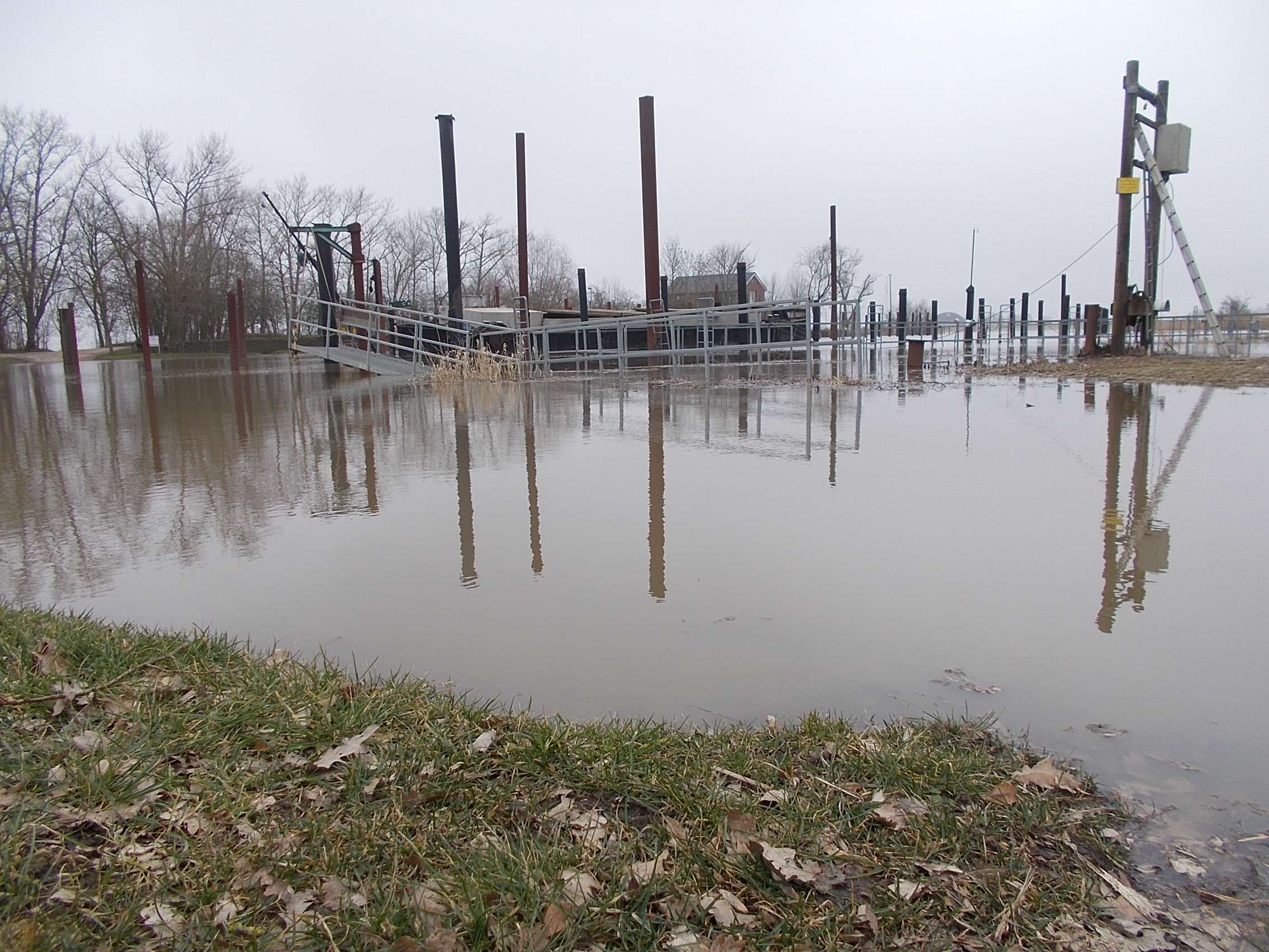 Durch den Ems-Aufstau war das Jemgumer Hafengebiet überschwemmt. © Joscha Szyska