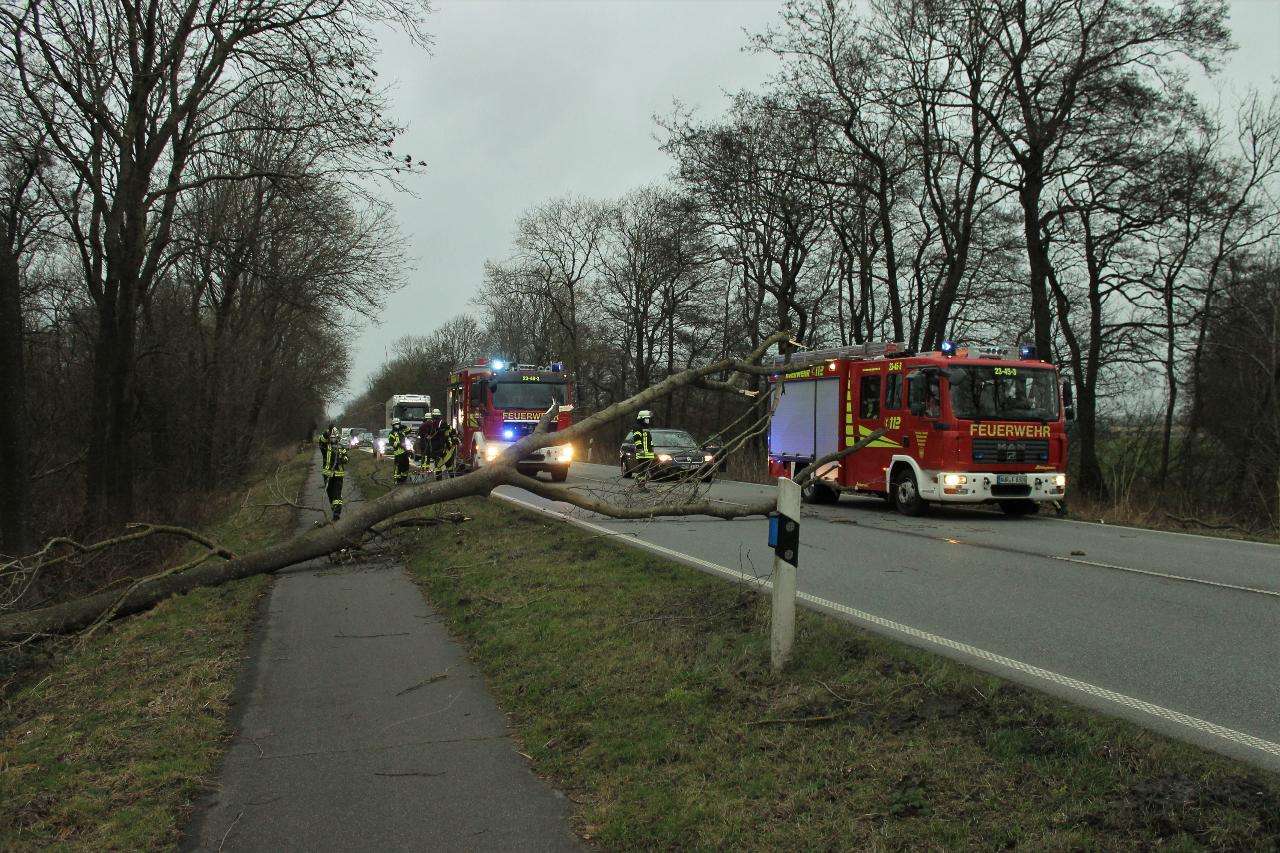 Sturm hielt Feuerwehren auf Trab - Rheiderland Zeitung