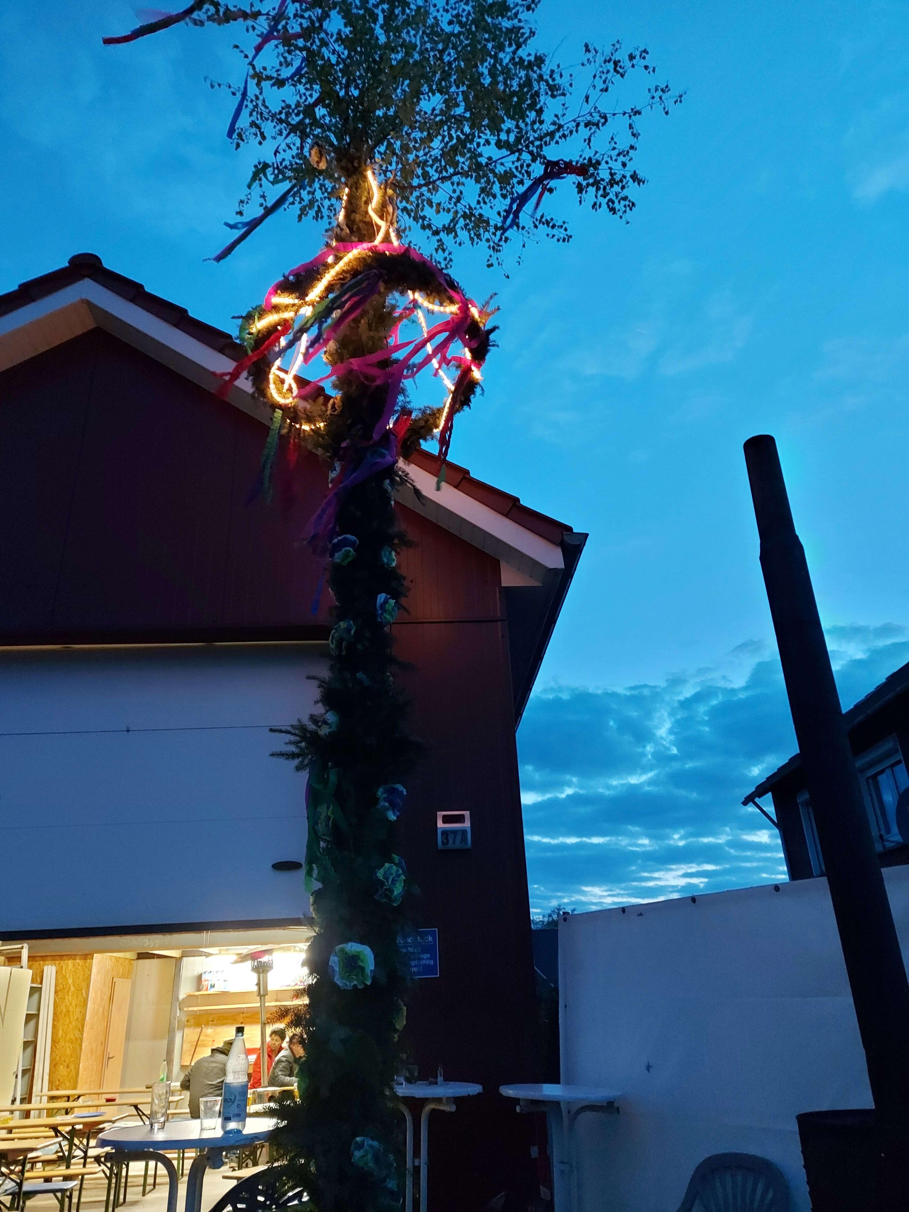 Diesen Maibaum haben die Anwohner aus dem Alten Sandweg und dem Verbindungsweg in Tichelwarf aufgestellt. © Berends