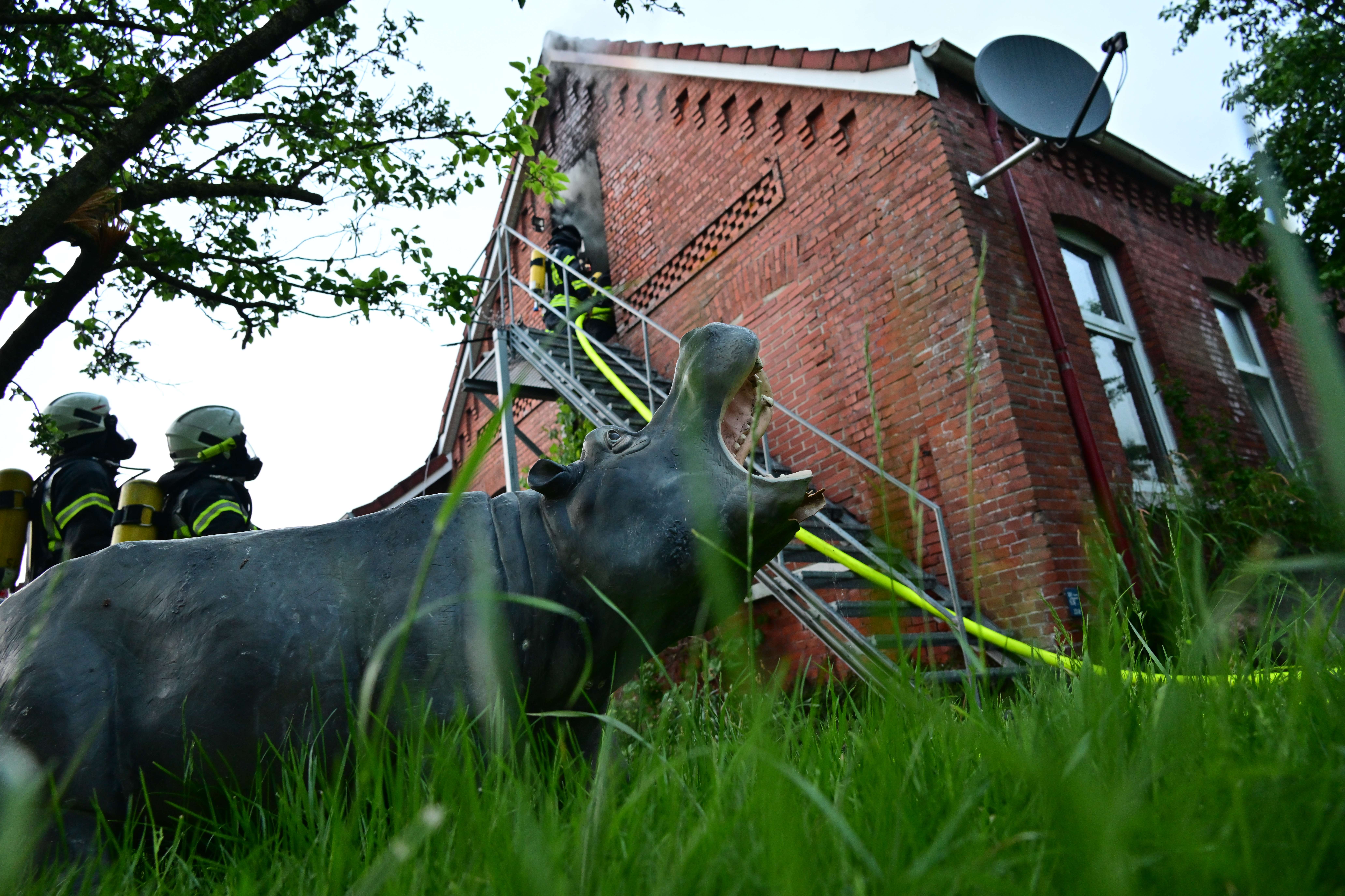 Über eine Außentreppe verschafften sich die Einsatzkräfte Zutritt zum Dachgeschoss. © Bruins