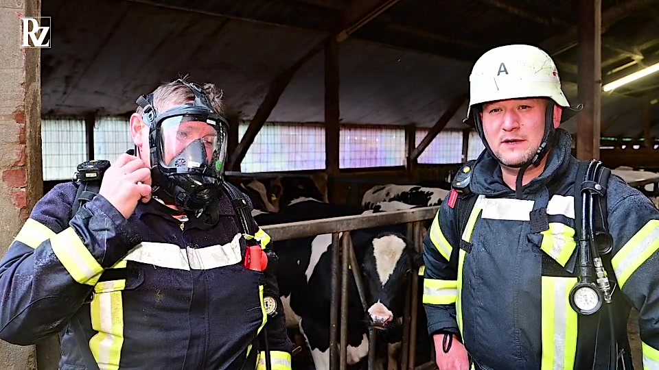 Feuerwehr rettet Kühe aus Güllekeller