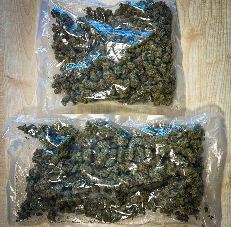 Ein halbes Kilo Marihuana hatte ein 22-Jähriger im Rucksack dabei, als Zöllner ihn am ZOB in Leer kontrollierten. © Hauptzollamt Oldenburg