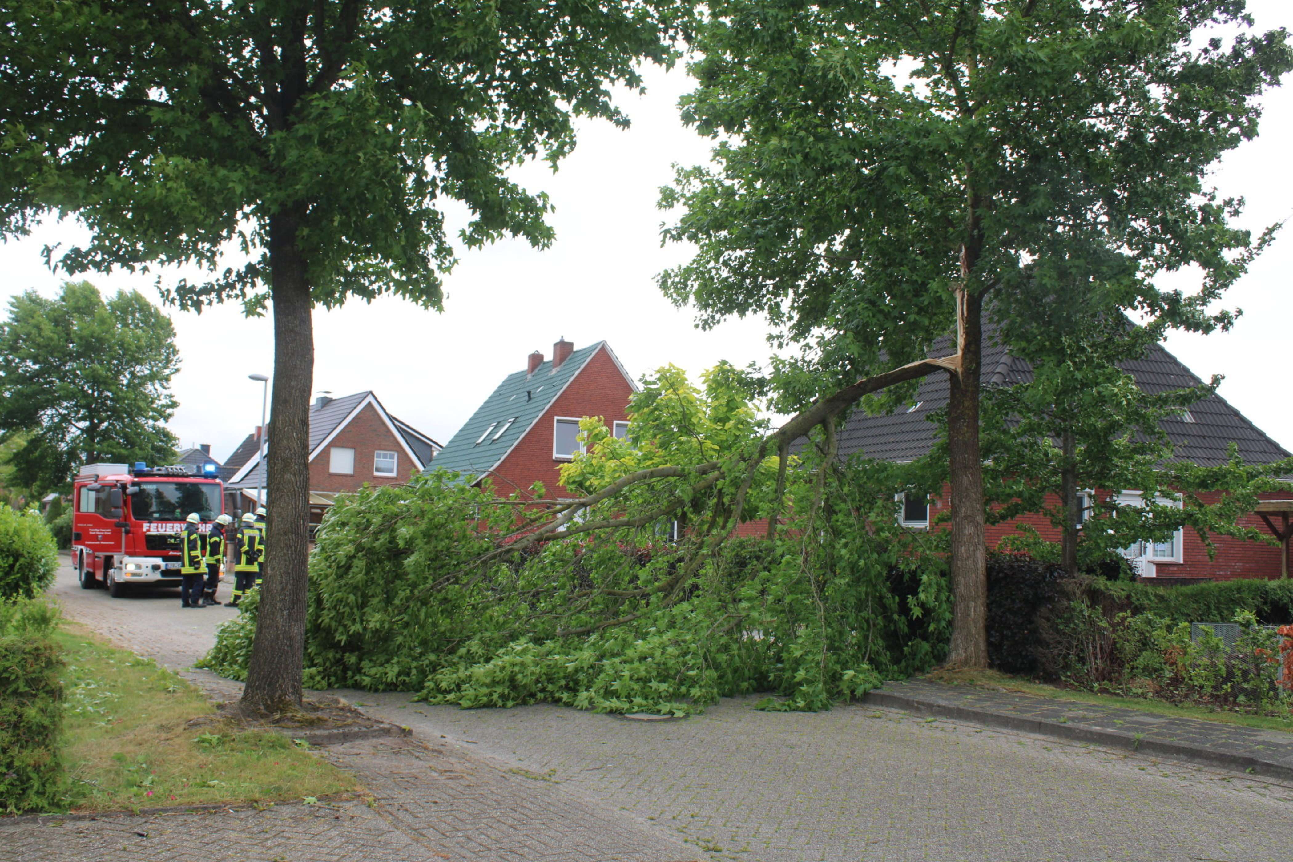 Am Lüchtenborger Ring in Möhlenwarf brach der Ast eines Baumes ab und fiel auf die Straße. © J. Rand/Feuerwehr