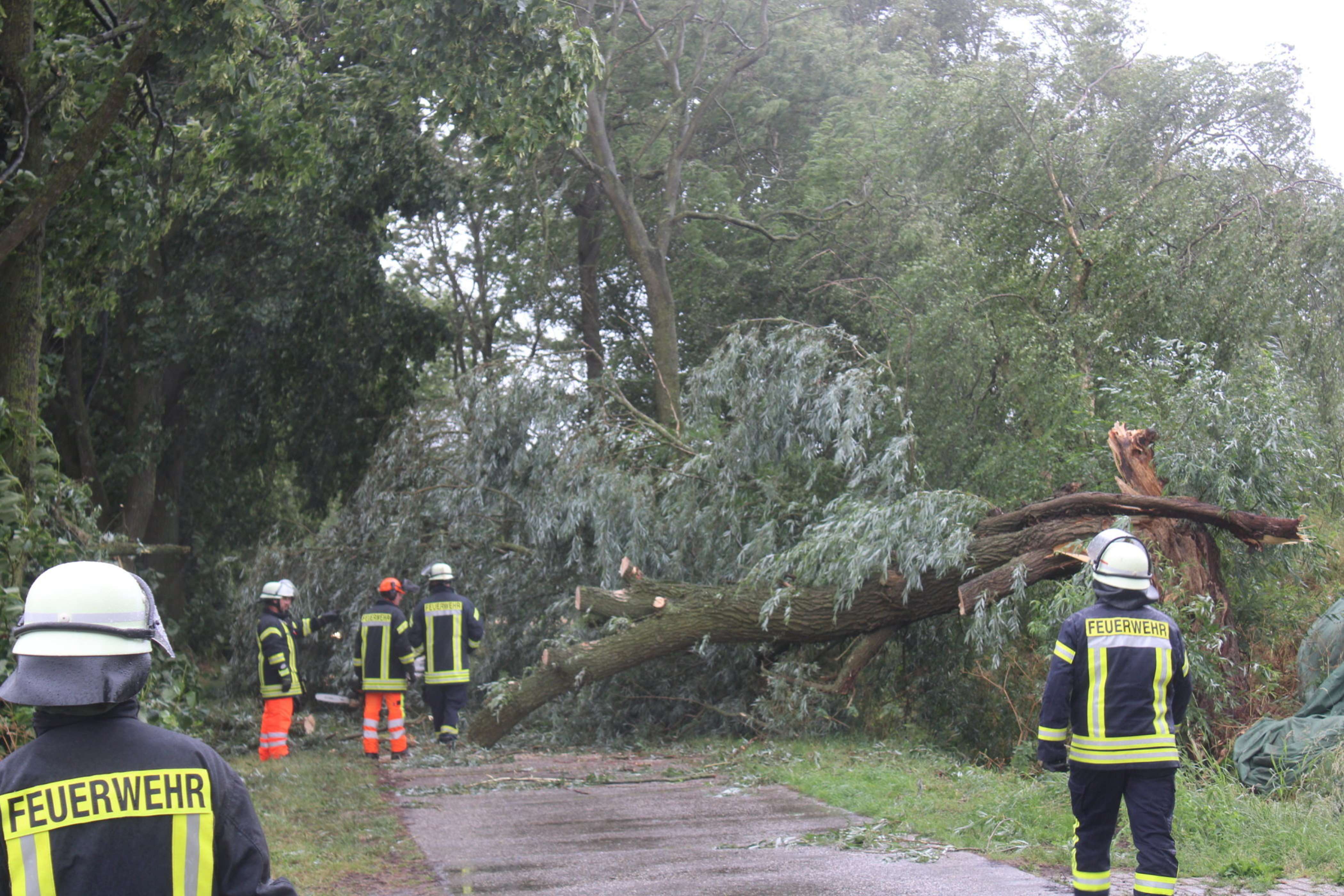 Auch am Sandweg in Möhlenwarf blockierte ein umgestürzter Baum die Fahrbahn. © J. Rand/Feuerwehr