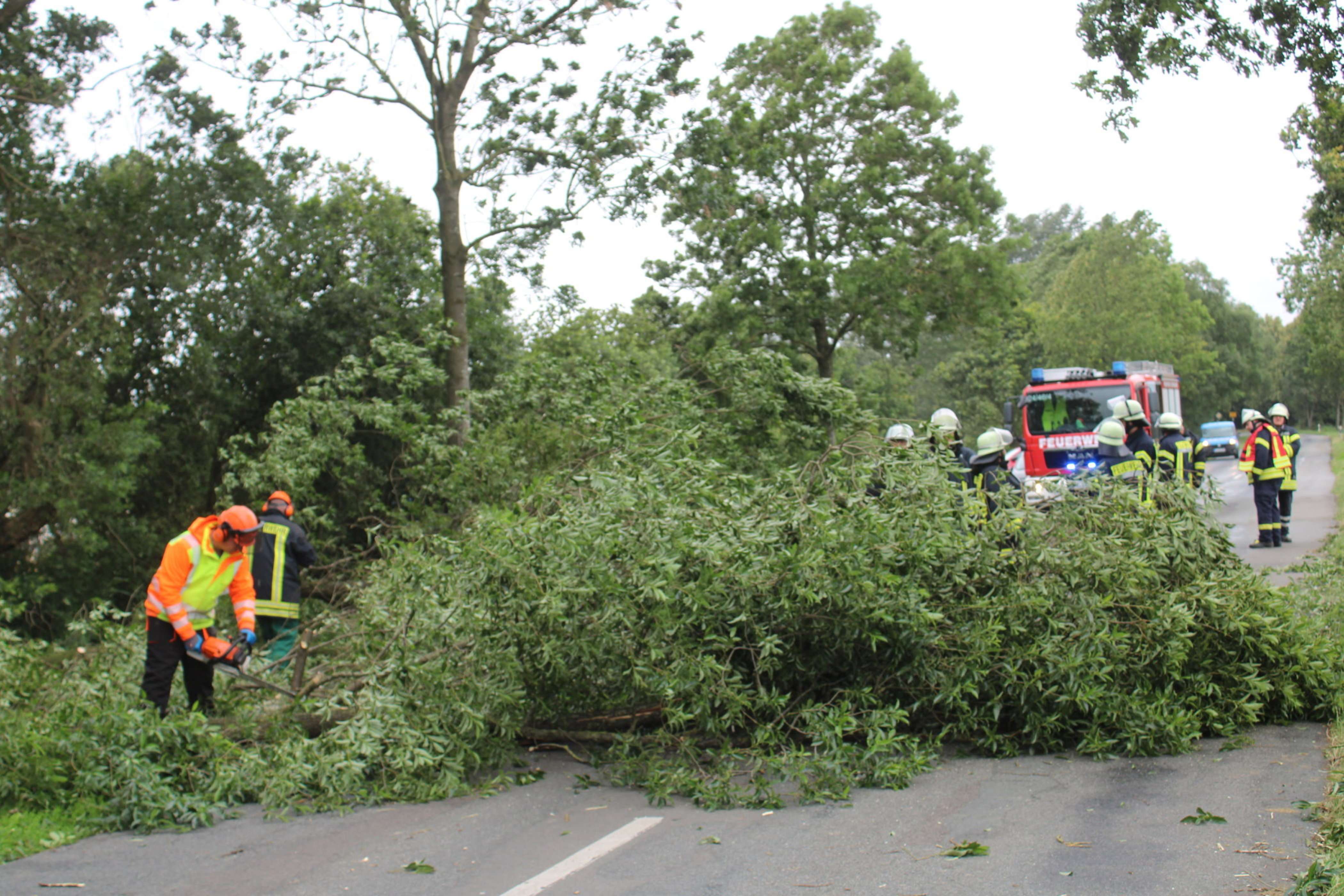 An der Vellager Straße kamen ebenfalls die Motorsägen zum Einsatz. © Rand (Feuerwehr)